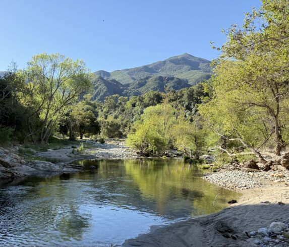 Cedo Park Swimming Hole