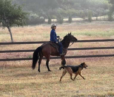 Coelho Ranch Event manager taking in a morning ride with Princess and Kenzie