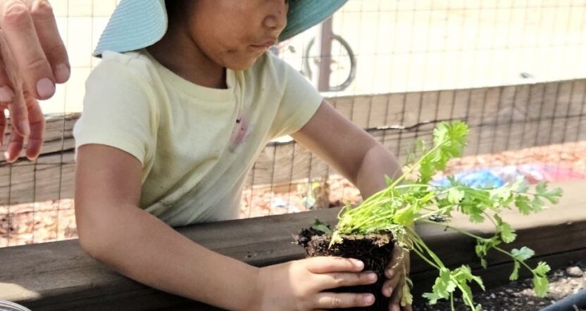 little girl planting